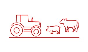 Ikon for landbrug - ikonet viser en traktor, en gris og en ko - rød stregtegning Ikon for landbrug - ikonet viser en traktor, en gris og en ko - rød stregtegning
