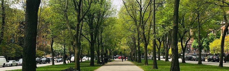 Park med grussti og grøn plæne